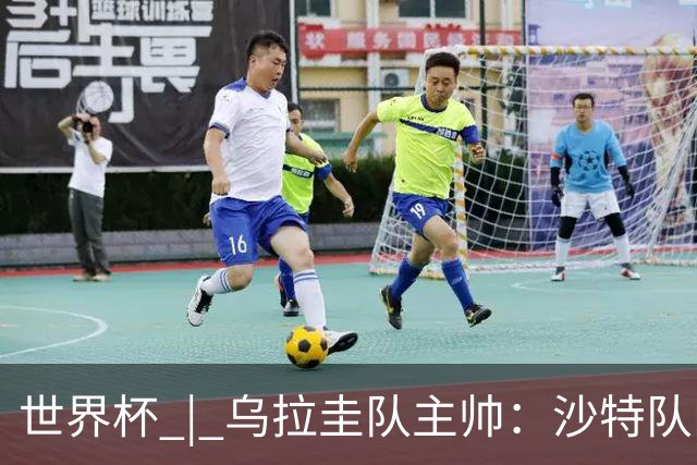 世界杯 | 乌拉圭队主帅：沙特队门将太出色