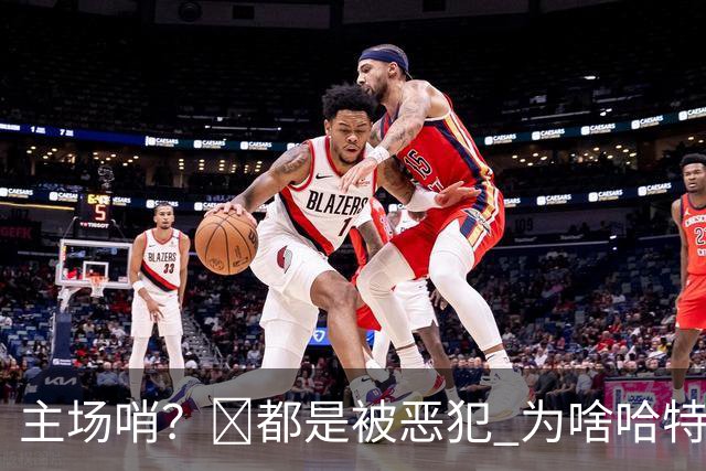 主场哨？🧠都是被恶犯 为啥哈特罚一个 文班罚两个？